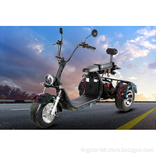Electric Wheel Electric Golf Cart Scooter da 10 pollici batteria rimovibile CEE/COC
